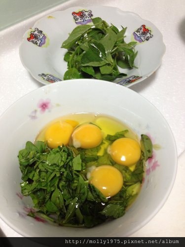 【家常料理】九層塔煎蛋