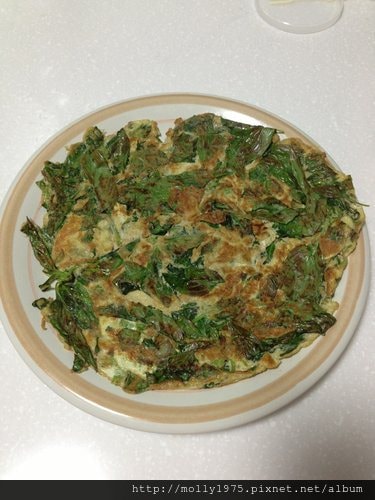 【家常料理】九層塔煎蛋
