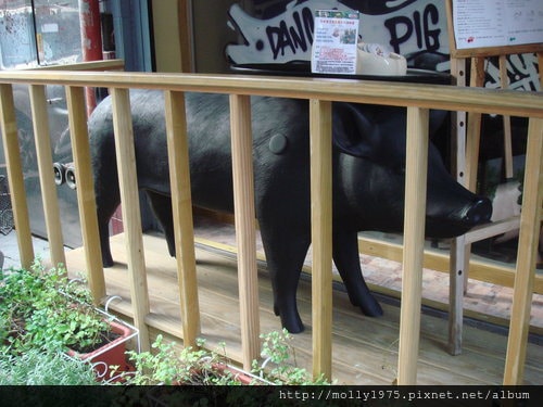2011年~豬跳舞小餐館 ( Dancing Pig )