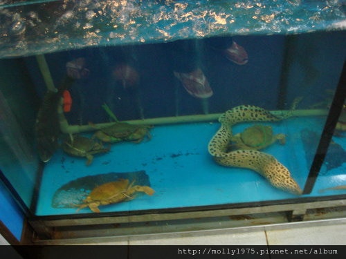 2011年10月22日貴哥海鮮店~八德路