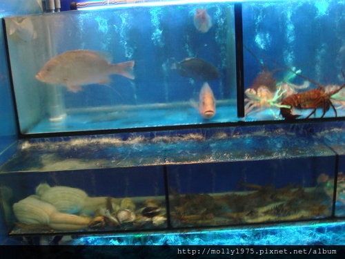 2011年10月22日貴哥海鮮店~八德路