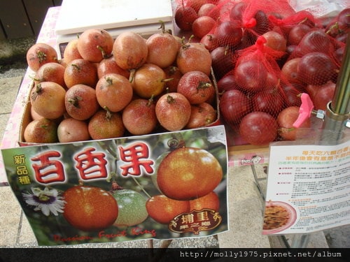 2011年10月15日大溝溪→圓覺寺→白石湖吊橋健行之旅