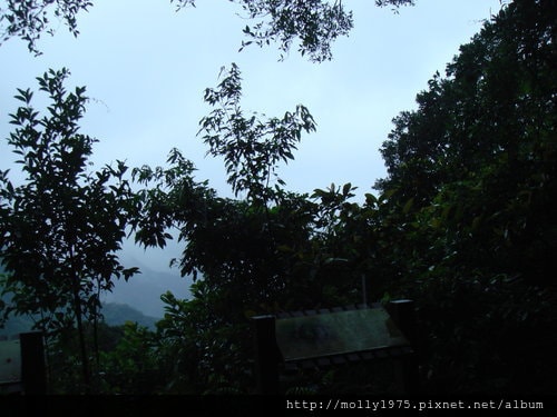 2011年10月9日侯硐→九份→瑞芳485m 登山之旅