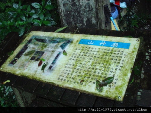 2011年10月9日侯硐→九份→瑞芳485m 登山之旅