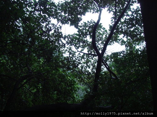 2011年10月9日侯硐→九份→瑞芳485m 登山之旅