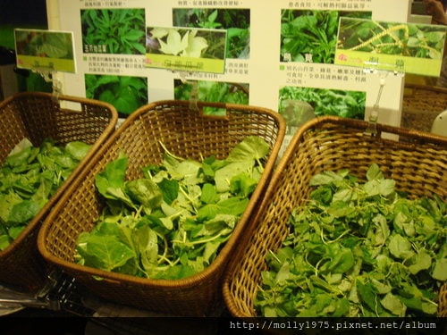 2011年9月29日櫻之田野野菜火鍋
