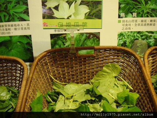 2011年9月29日櫻之田野野菜火鍋