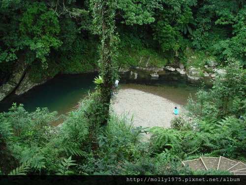 2011年9月25日一人旅行之坪林金瓜寮魚蕨步道