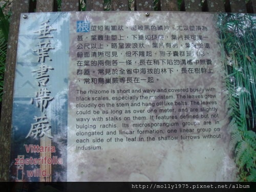 2011年9月25日一人旅行之坪林金瓜寮魚蕨步道