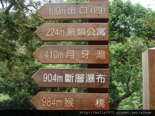 2011年9月25日一人旅行之坪林金瓜寮魚蕨步道