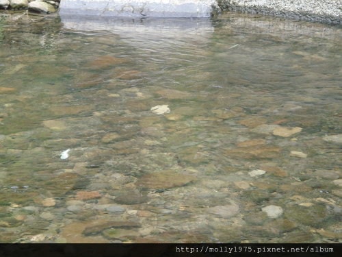 2011年9月25日一人旅行之坪林金瓜寮魚蕨步道