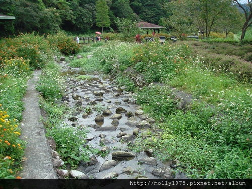 2011年9月25日一人旅行之坪林金瓜寮魚蕨步道