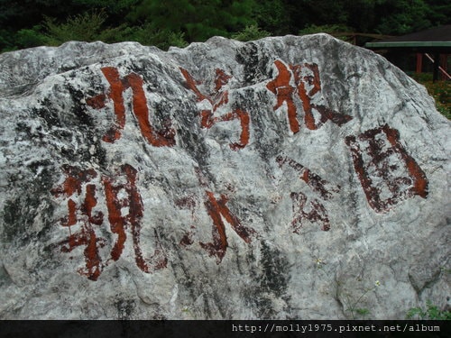 2011年9月25日一人旅行之坪林金瓜寮魚蕨步道