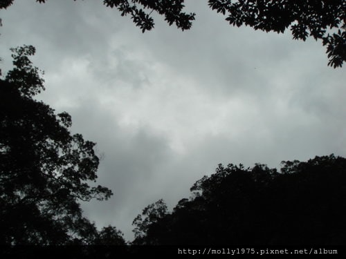 2011年9月25日一人旅行之坪林金瓜寮魚蕨步道