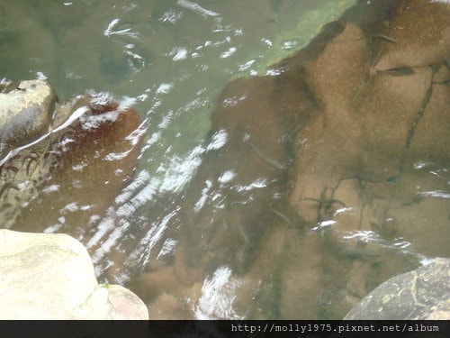 2011年9月25日一人旅行之坪林金瓜寮魚蕨步道
