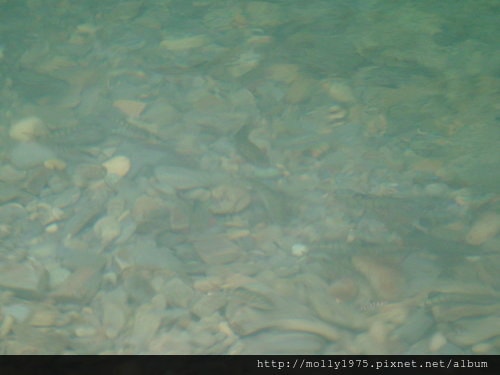 2011年9月25日一人旅行之坪林金瓜寮魚蕨步道