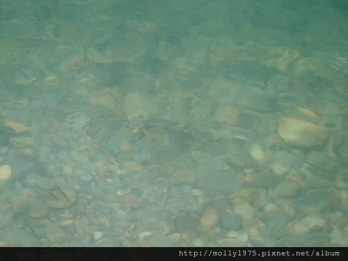 2011年9月25日一人旅行之坪林金瓜寮魚蕨步道