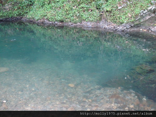 2011年9月25日一人旅行之坪林金瓜寮魚蕨步道