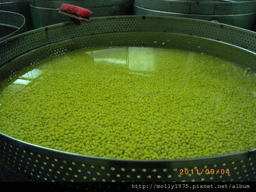 2011年09月4日無名股東QC-名豐豆腐工廠