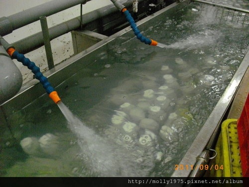 2011年09月4日無名股東QC-名豐豆腐工廠
