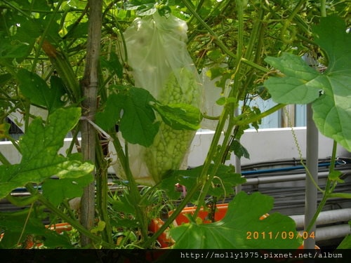 2011年09月4日無名股東QC-名豐豆腐工廠