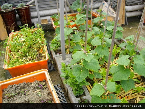 2011年09月4日無名股東QC-名豐豆腐工廠