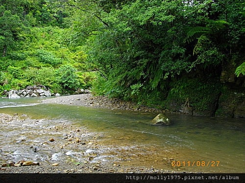 2011年8月27日金瓜寮魚蕨步道