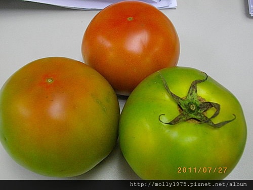 2011年7月27日製作剝皮蜜蕃茄
