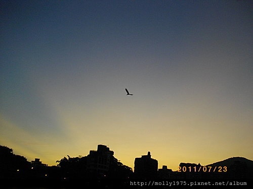 2011年7月23日內湖戲曲學院+碧湖公園