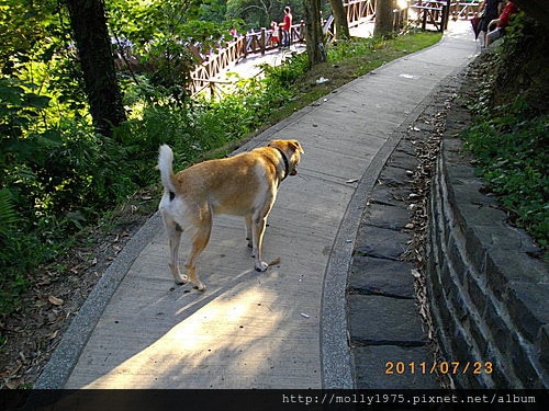 2011年7月23日-個人旅行之碧山巖+白石湖吊橋