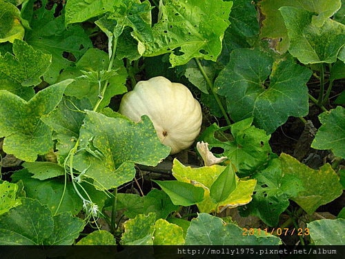 2011年7月23日-個人旅行之碧山巖+白石湖吊橋