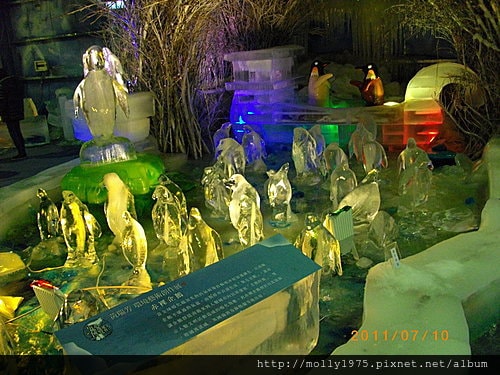 2011年7月10日兼差保母負18度南北極地展覽會