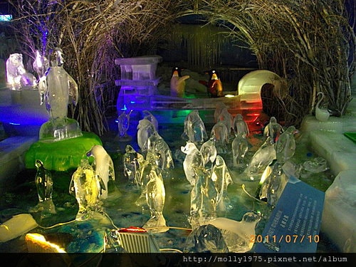 2011年7月10日兼差保母負18度南北極地展覽會