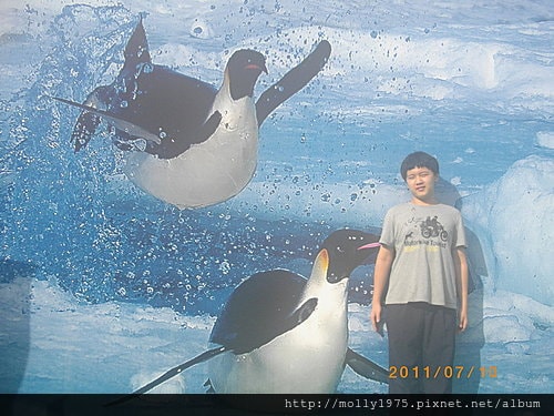 2011年7月10日兼差保母負18度南北極地展覽會
