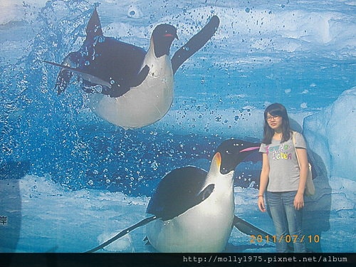 2011年7月10日兼差保母負18度南北極地展覽會
