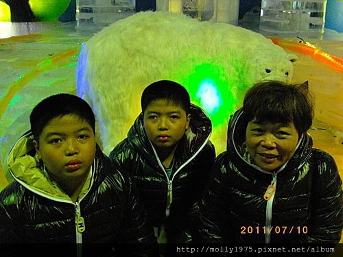 2011年7月10日兼差保母負18度南北極地展覽會