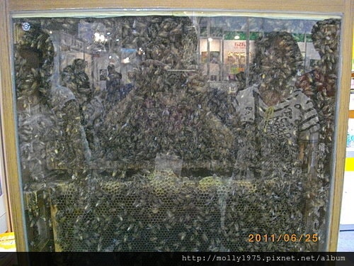 2011年6月25日國際食品展