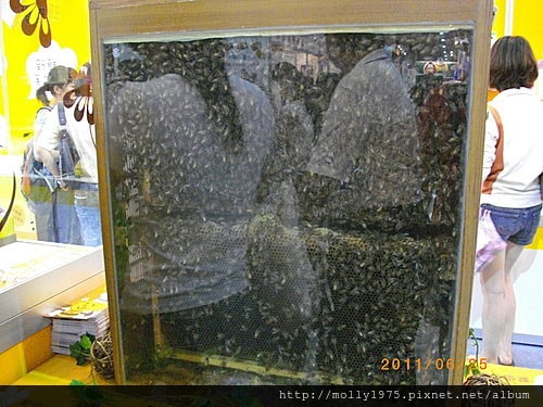 2011年6月25日國際食品展