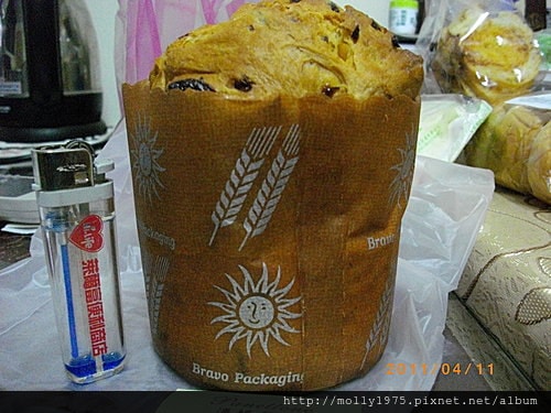2011年04月11日陽光宣言-潘尼多尼(panettane)