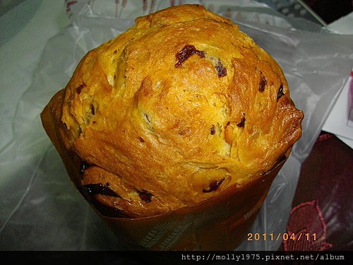 2011年04月11日陽光宣言-潘尼多尼(panettane)