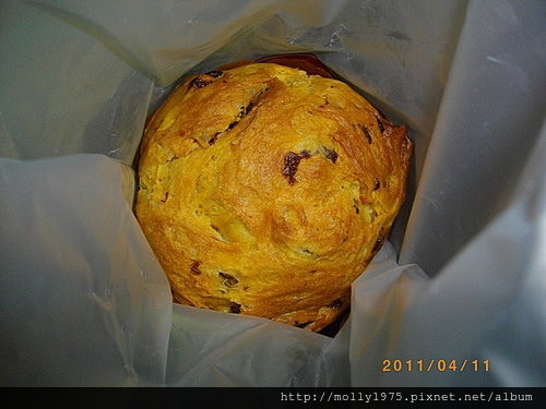 2011年04月11日陽光宣言-潘尼多尼(panettane)