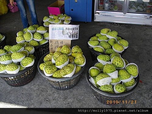 2010年11月21日台東名產美食