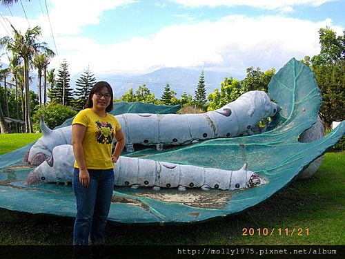 2010年11月21日台東名產美食