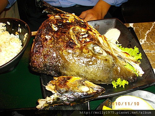 2010年11月10日百八魚場
