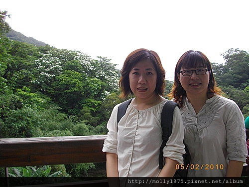 2010年05月02日土城油桐花之旅