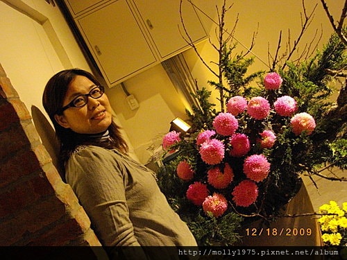 2009年12月華山藝術館茶與花的對話