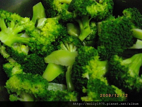 20091212自製美食