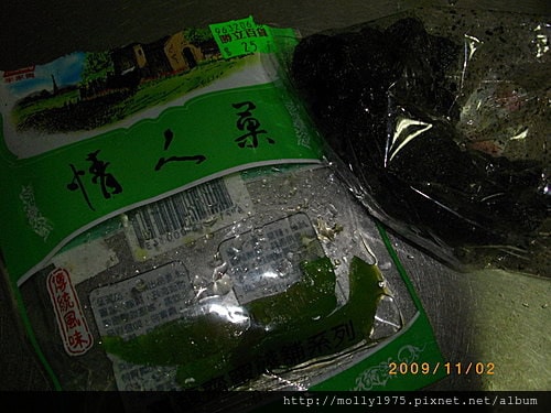 2009年11月-自製加工水果
