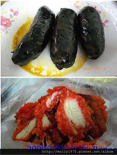 2009年9月-自製食物區