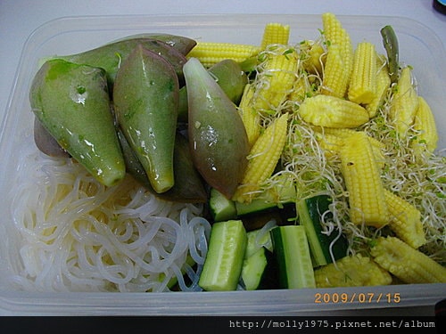 2009年7月-自製午餐-涼拌寒天麵條+馬鈴薯沙拉